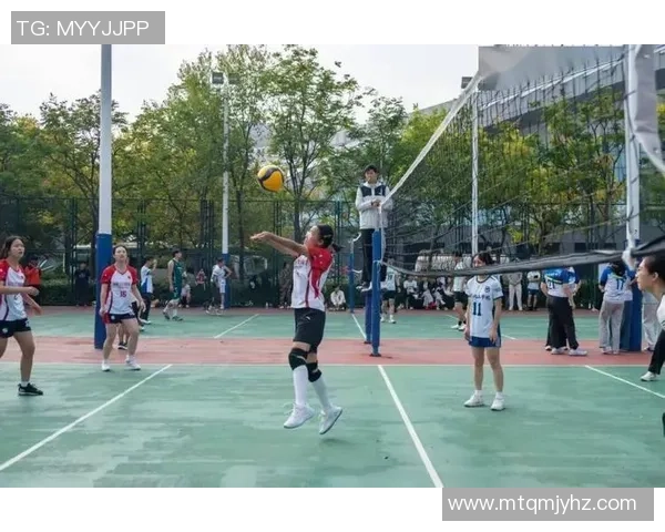 南京排球队的节奏与魅力探秘：一场关于青春与拼搏的排球盛宴