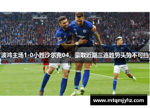 波鸿主场1-0小胜沙尔克04，豪取近期三连胜势头势不可挡